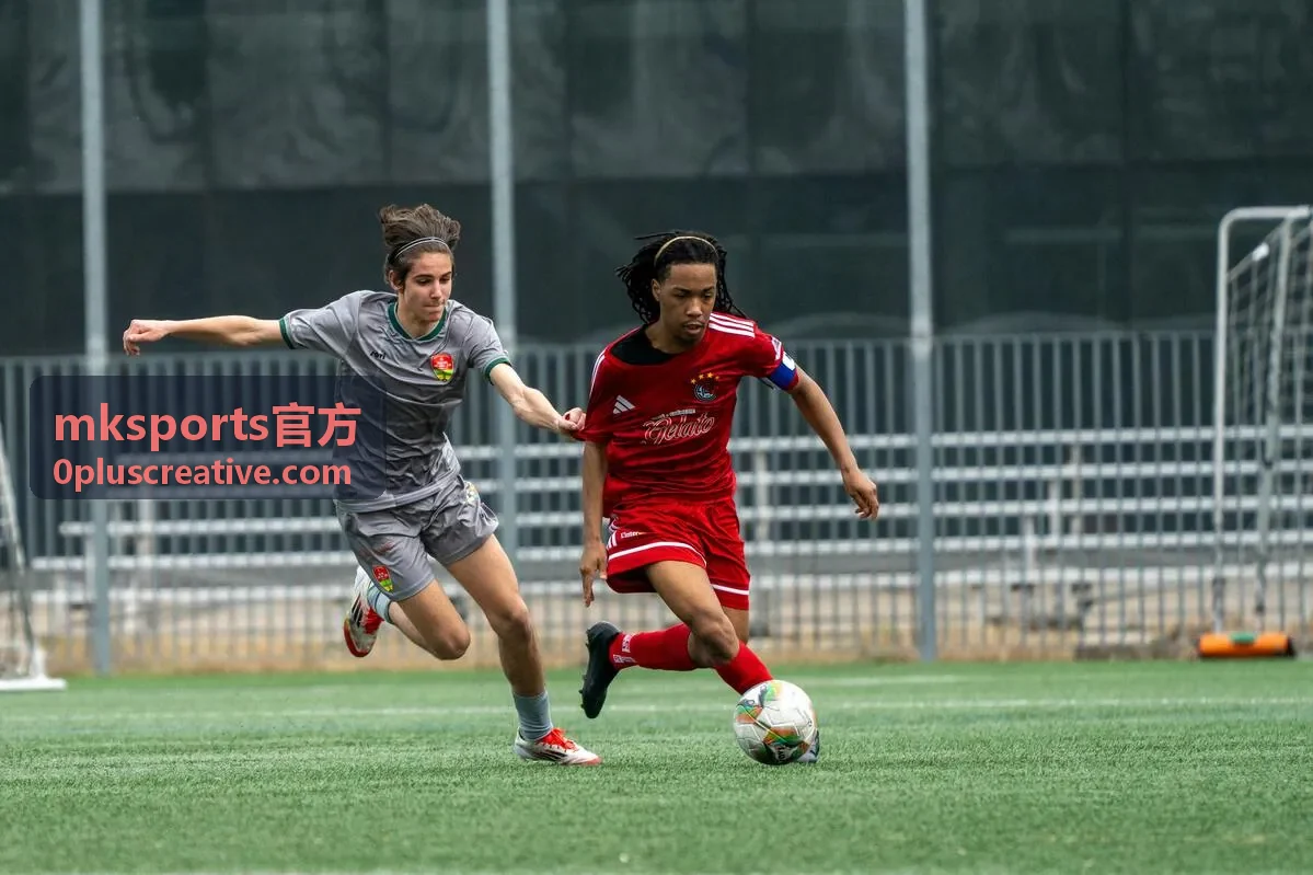 mksports官方 训练方案 栏目入口
