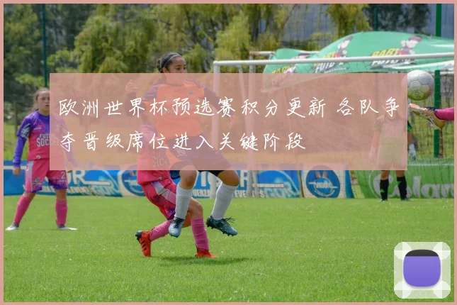 欧洲世界杯预选赛积分更新 各队争夺晋级席位进入关键阶段